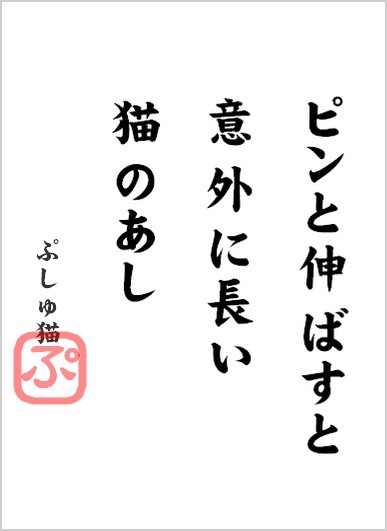 nekonoasi