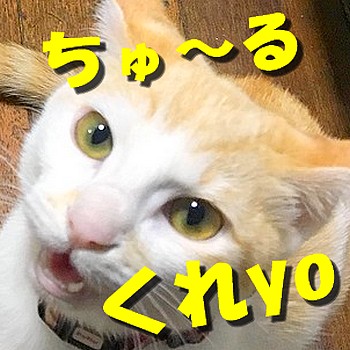 名称未設定 1chu