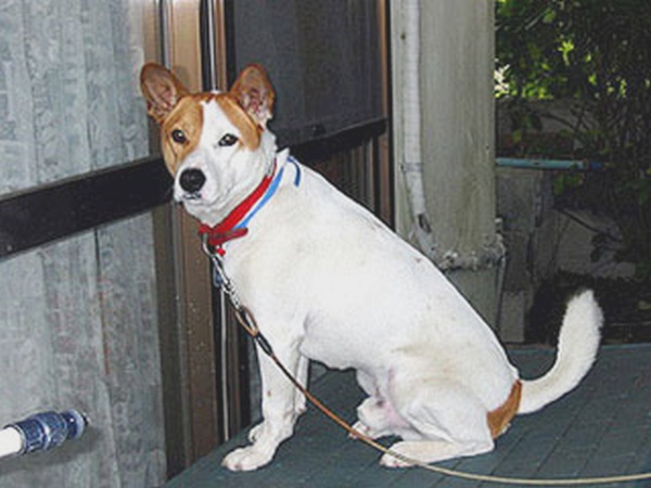 ricky2004